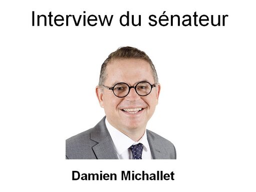 Vignette_Michallet.jpg